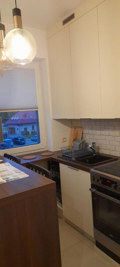 Friends - Mieszkanie 53m2 - Dwie Kawalerki Z Lazienka Apartment *