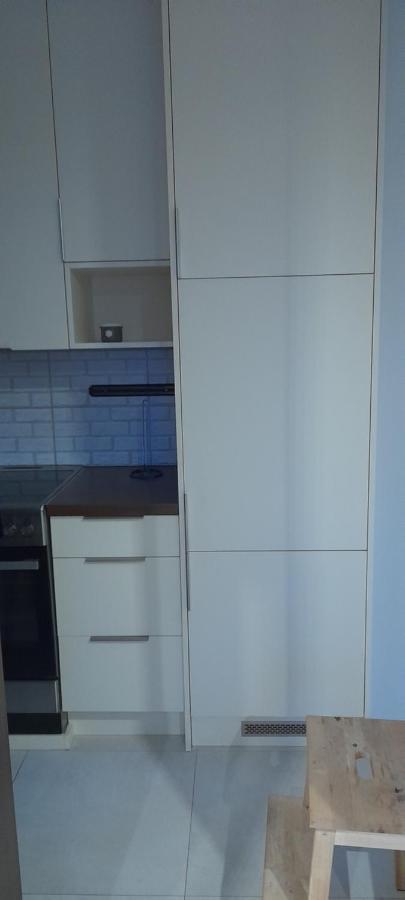 Friends - Mieszkanie 53m2 - Dwie Kawalerki Z Lazienka Apartment