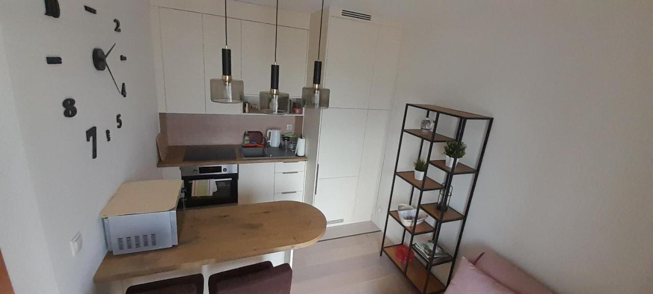 Friends - Mieszkanie 53m2 - Dwie Kawalerki Z Lazienka Apartment *