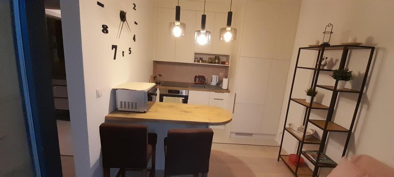 Friends - Mieszkanie 53m2 - Dwie Kawalerki Z Lazienka Apartment Ksiazenice